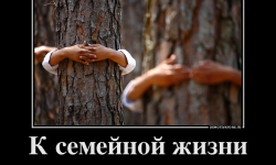 К семейной жизни мальчиков нужно готовить с детства