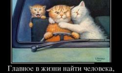 Главное в жизни найти человека
