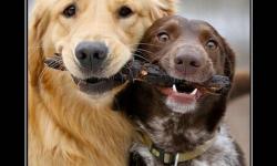 Залог долгой семейной жизни