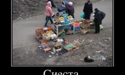 Сиеста