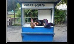 Беру